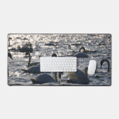 Zwanen in een groep op het water met glinsterend z bureaumat (Keyboard & Muis)