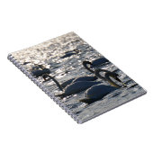 Zwanen in een groep op het water met glinsterend z notitieboek (Rechterzijde)