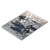 Zwanen in een groep op het water met glinsterend z notitieboek (Linkerzijde)