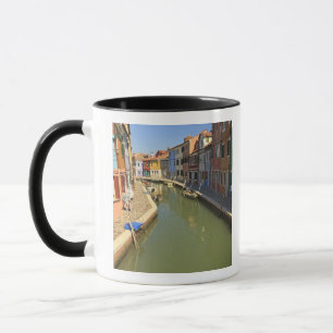 Zwanen in kanaal, Burano eiland, Venetië, Italië Mok