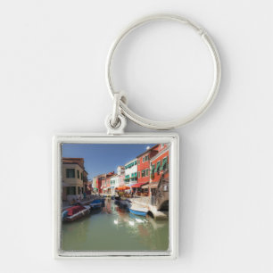 Zwanen in kanaal, Burano-eiland, Venetië, Italië Sleutelhanger