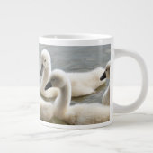 zwanen in waterMok Grote Koffiekop (Rechts)