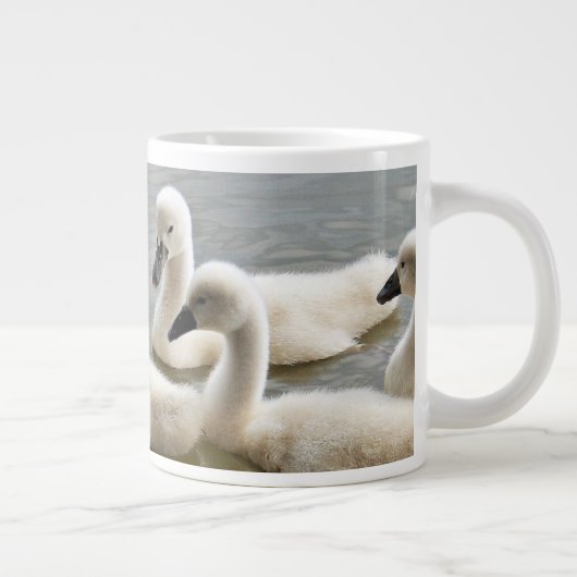 zwanen in waterMok Grote Koffiekop (Rechts)