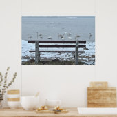 Zwanen, meer en een bank - poster (Keuken)