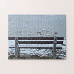 Zwanen, meer en een bank - puzzel