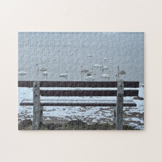 Zwanen, meer en een bank - puzzel (Horizontaal)