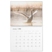 Zwanen Natuurfoto's 2026 Kalender (Jan 2026)