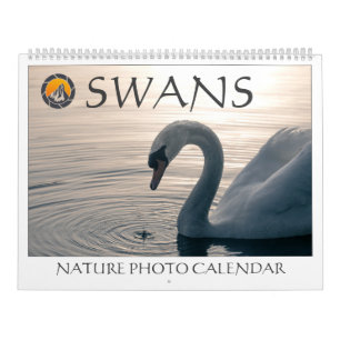 Zwanen Natuurfoto's 2027 Kalender