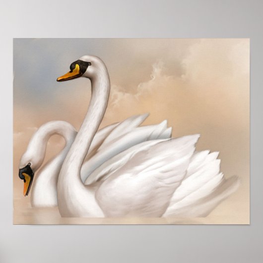 Zwanen op een meer poster (Voorkant)