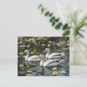 Zwanen op een reflecterende Lake Bird Lovers Briefkaart (Staand voorkant)