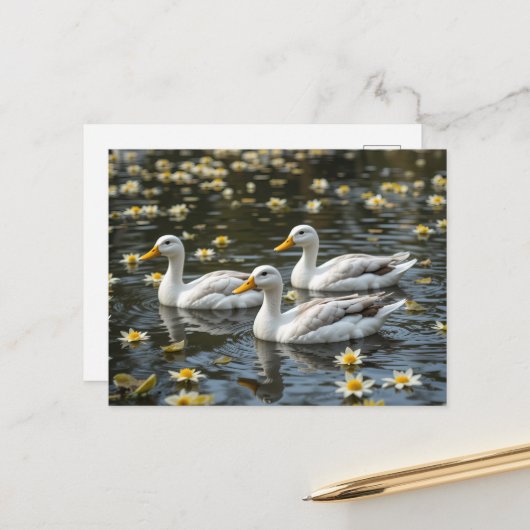 Zwanen op een reflecterende Lake Bird Lovers Briefkaart (Voorkant / Achterkant in situ)