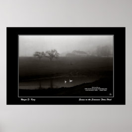 Zwanen op het Scamman Boerderij Pond Poster - w/Po