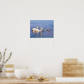 ZWANEN POSTER (Keuken)