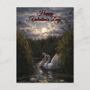Zwanen tussen riet in maanlicht Valentijnsdag Feestdagenkaart