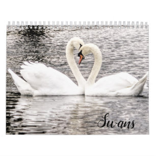 Zwanen van Spring Grove Kalender