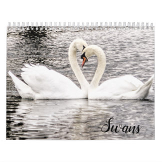 Zwanen van Spring Grove Kalender