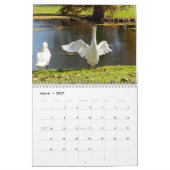Zwanen van Spring Grove Kalender (Mar 2027)