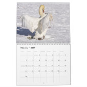 Zwanen van Spring Grove Kalender (Feb 2027)