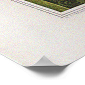  zwanen, waterlelies en libellen poster (Hoek)