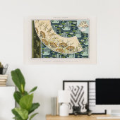  zwanen, waterlelies en libellen poster (Thuiskantoor)