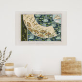  zwanen, waterlelies en libellen poster (Keuken)