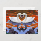 Zwanen zoenen in liefde, hartsnekken briefkaart (Voorkant / Achterkant)