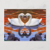 Zwanen zoenen in liefde, hartsnekken briefkaart (Voorkant)