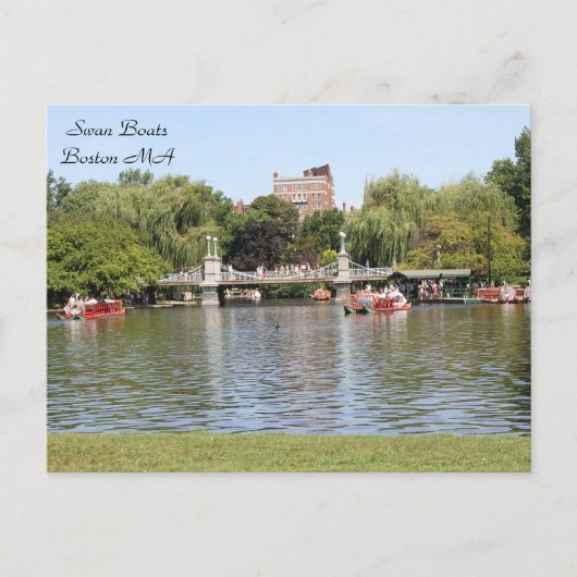 Zwanenboten, Boston, MA, fotografie Briefkaart (Voorkant)