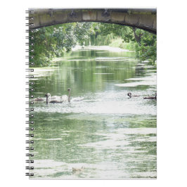 Zwanenfamilie Aan De Rivier Notitieboek