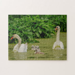 Zwanenfamilie Legpuzzel