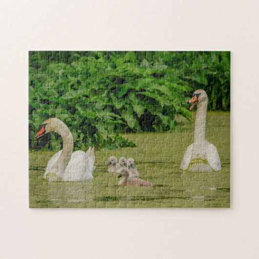 Zwanenfamilie Legpuzzel (Horizontaal)
