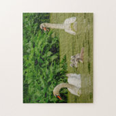 Zwanenfamilie Legpuzzel (Verticaal)