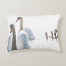 Zwanenfamilie Natuurfotografie