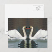 Zwanenhart briefkaarten (Voorkant / Achterkant)