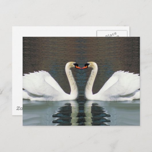 Zwanenhart briefkaarten (Voorkant / Achterkant)