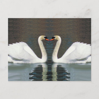 Zwanenhart briefkaarten