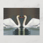 Zwanenhart briefkaarten (Voorkant)