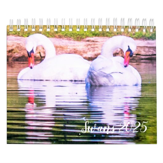 Zwanenkalender 2025 kalender (Hoes)