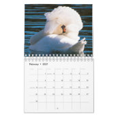 Zwanenkalender 2025 kalender (Feb 2027)