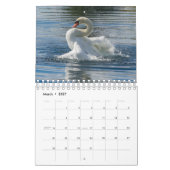 Zwanenkalender 2025 kalender (Mar 2027)
