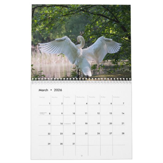 Zwanenkalender 2025 kalender (Mar 2026)