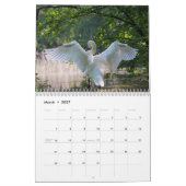 Zwanenkalender 2025 kalender (Mar 2027)