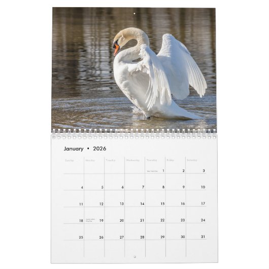 Zwanenkalender 2025 kalender (Jan 2026)