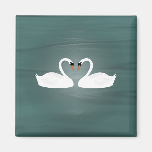 zwanenmagneet magneet