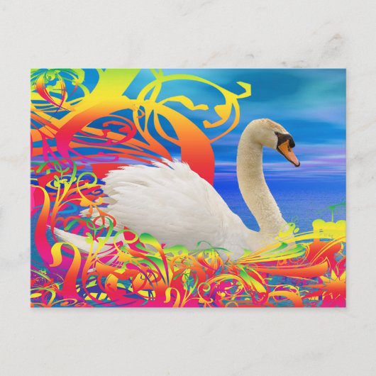 Zwanennest Briefkaart (Voorkant)