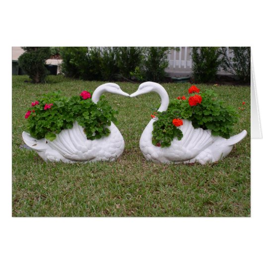 Zwanenplanters zoenen (Voorkant Horizontaal)