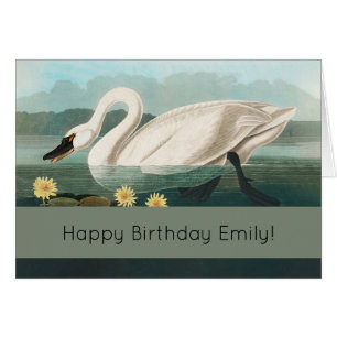 zwanenvogel witwaterzwanen