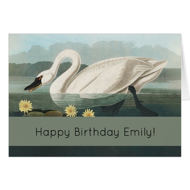 zwanenvogel witwaterzwanen (Voorkant Horizontaal)