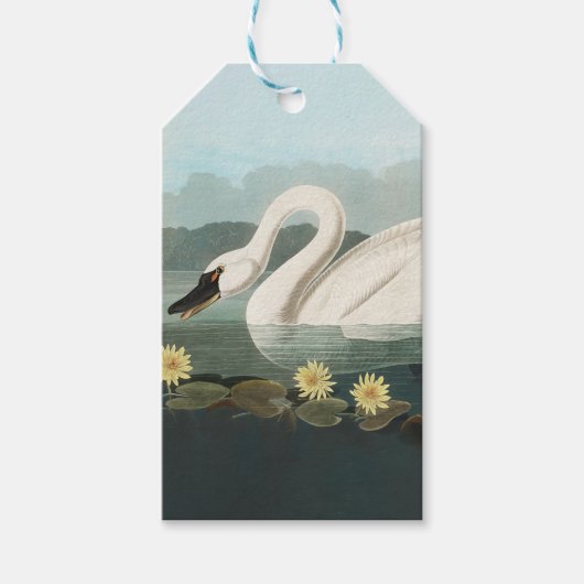 zwanenvogel witwaterzwanen cadeaulabel (Voorkant)
