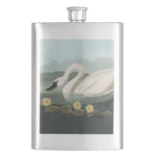 zwanenvogel witwaterzwanen flacon (Voorkant)